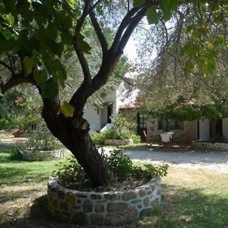 Traditionelles Appartement Athos Shadow Am Meer Paralia Sikias Eksteriør billede