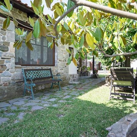 Traditionelles Appartement Athos Shadow Am Meer Paralia Sikias Eksteriør billede