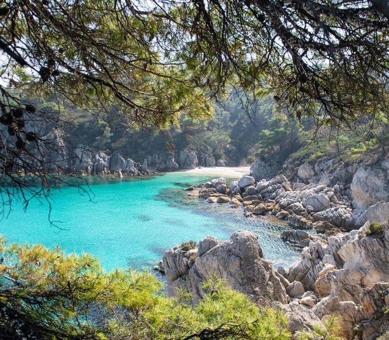 Traditionelles Appartement Athos Shadow Am Meer Paralia Sikias Eksteriør billede