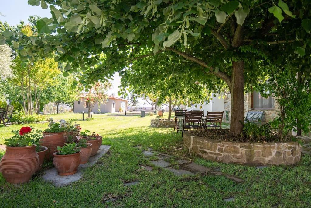 Traditionelles Appartement Athos Shadow Am Meer Paralia Sikias Eksteriør billede