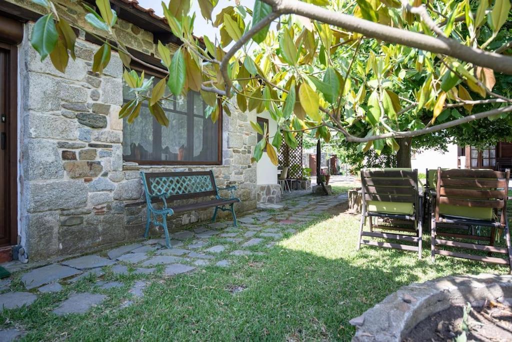 Traditionelles Appartement Athos Shadow Am Meer Paralia Sikias Eksteriør billede