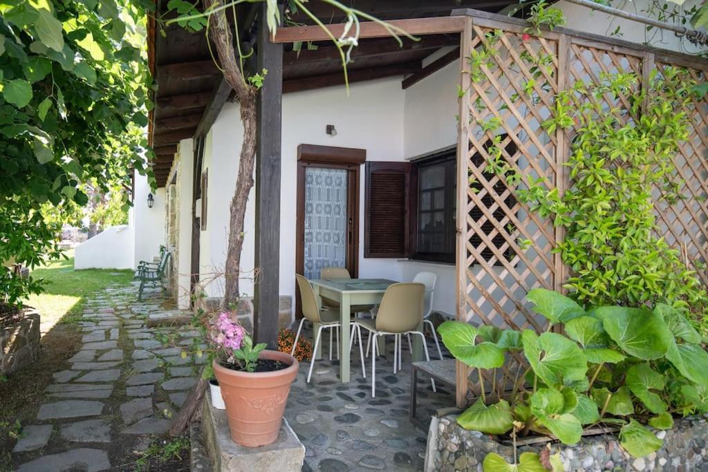 Traditionelles Appartement Athos Shadow Am Meer Paralia Sikias Eksteriør billede