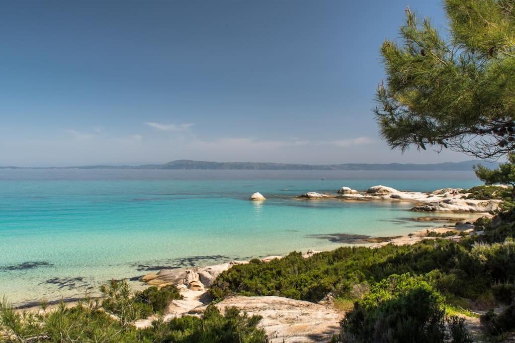 Traditionelles Appartement Athos Shadow Am Meer Paralia Sikias Eksteriør billede