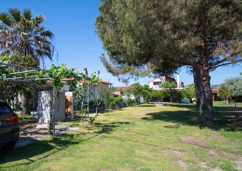 Traditionelles Appartement Athos Shadow Am Meer Paralia Sikias Eksteriør billede