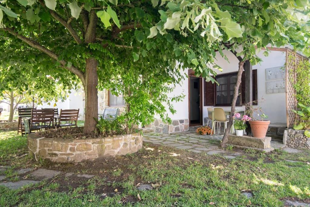 Traditionelles Appartement Athos Shadow Am Meer Paralia Sikias Eksteriør billede