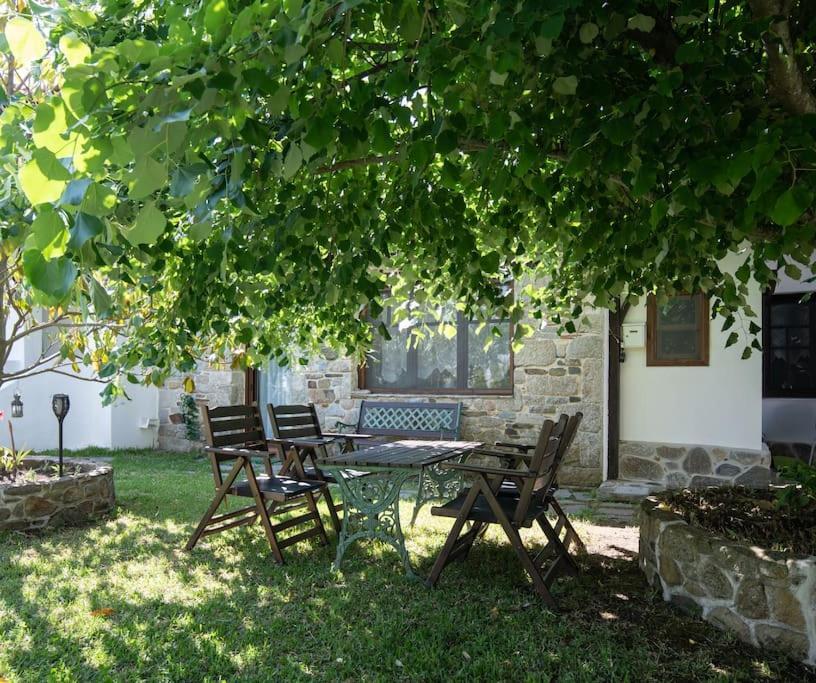 Traditionelles Appartement Athos Shadow Am Meer Paralia Sikias Eksteriør billede