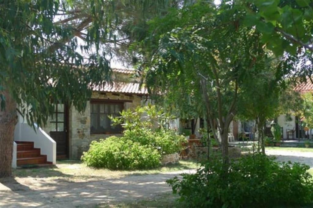 Traditionelles Appartement Athos Shadow Am Meer Paralia Sikias Eksteriør billede