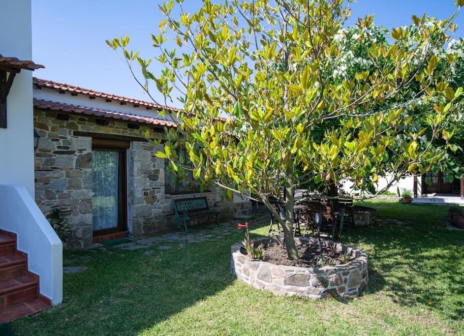 Traditionelles Appartement Athos Shadow Am Meer Paralia Sikias Eksteriør billede