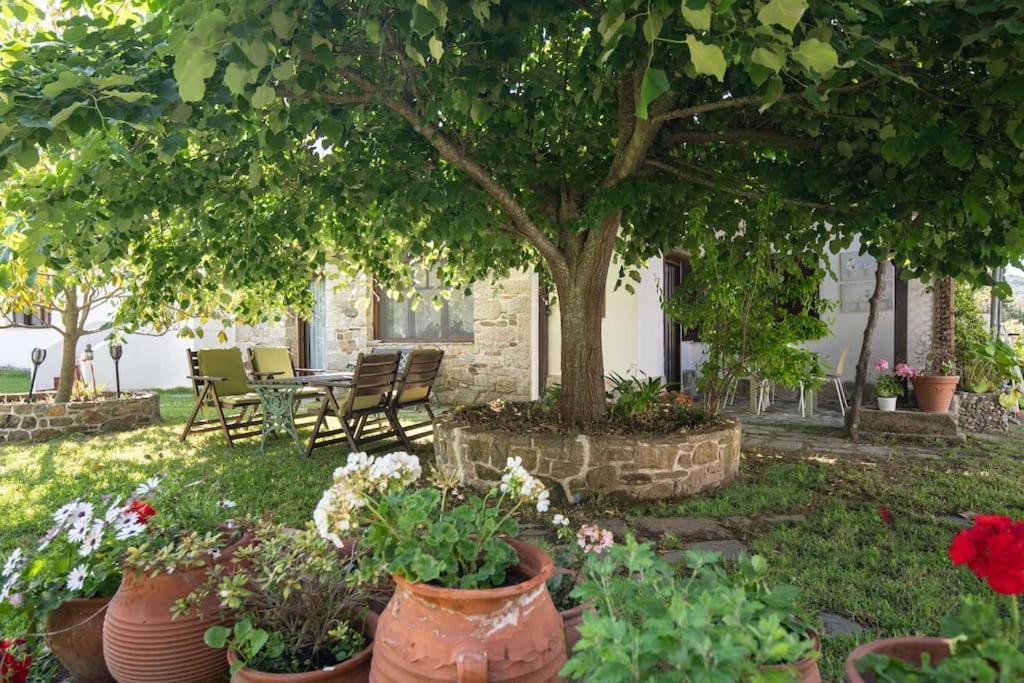 Traditionelles Appartement Athos Shadow Am Meer Paralia Sikias Eksteriør billede