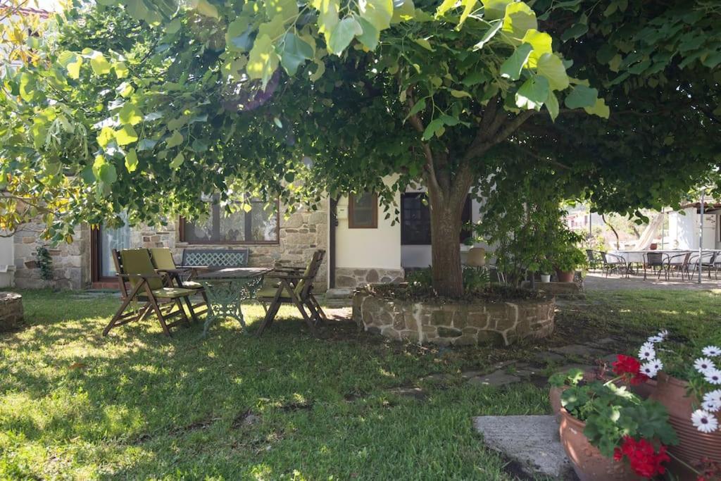 Traditionelles Appartement Athos Shadow Am Meer Paralia Sikias Eksteriør billede