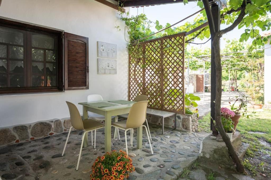 Traditionelles Appartement Athos Shadow Am Meer Paralia Sikias Eksteriør billede